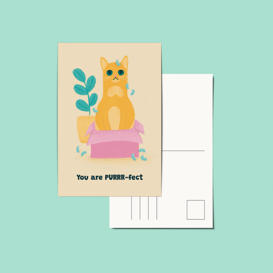 Postcard | Cat